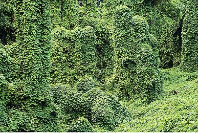 Fami通本周评分出炉 《刀剑乱舞无双》获34分评价